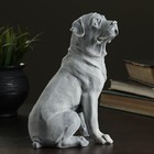 Сувенир "Ротвейлер (большой)" 19,5см - фото 20879561