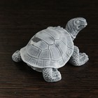 Сувенир "Черепаха малая №2" 3,5см - Фото 3