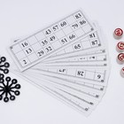 Русское лото "Державное", 24 карточки, карточка 21 х 7.5 см - фото 44982179