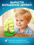 Выращивания кристалла «Волшебное дерево», цвет зелёный - Фото 3