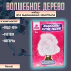 Выращивание кристаллов «Волшебное дерево», белый - Фото 5