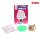 Выращивание кристаллов «Волшебное дерево», белый - Фото 6