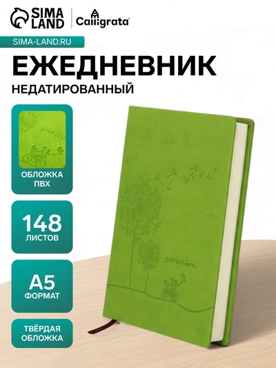 Ежедневник недатированный А5, 148 листов в линейку, обложка ПВХ, МИКС