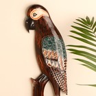 Настенное панно «Попугай на ветке», 50×18×2 см - фото 57925686