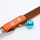 Ошейник мягкий с бубенчиком "Косточки и лапки", 31 х 1, микс цветов 3110374