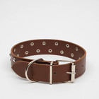 Ошейник клепаный в 2 ряда, 63,5 х 3,8 см, коричневый - Фото 2