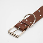 Ошейник клепаный в 2 ряда, 63,5 х 3,8 см, коричневый - Фото 3