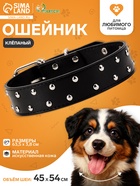 Ошейник, 63.5×3.8 см, клёпаный в 2 ряда, чёрный - Фото 1