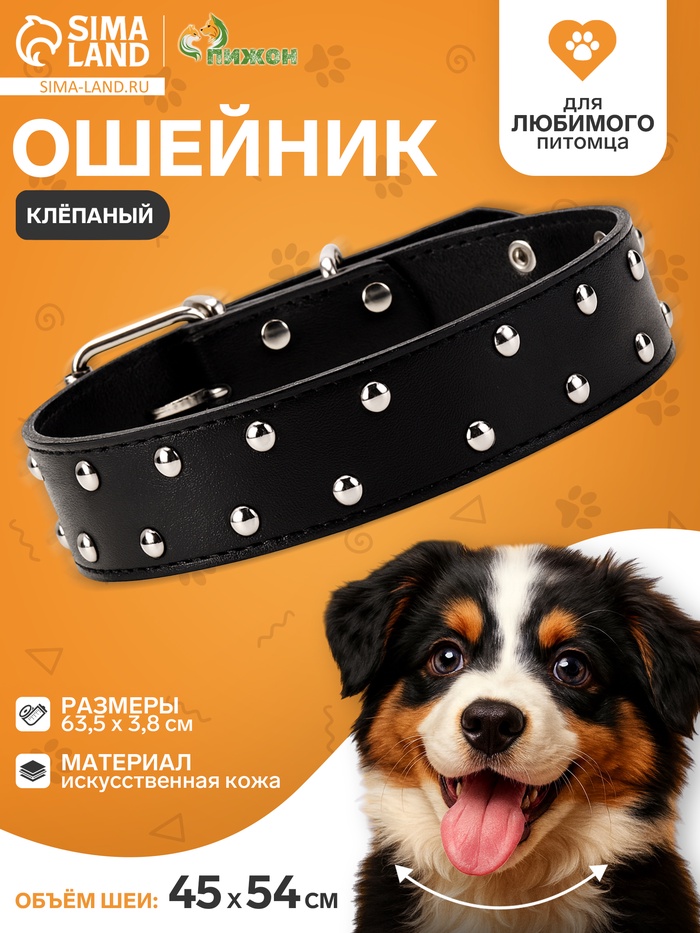 Ошейник, 63.5×3.8 см, клёпаный в 2 ряда, чёрный - Фото 1