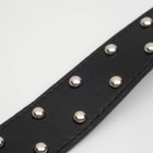 Ошейник, 63.5×3.8 см, клёпаный в 2 ряда, чёрный - Фото 3