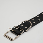 Ошейник, 63.5×3.8 см, клёпаный в 2 ряда, чёрный - Фото 4