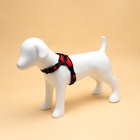 Шлейка К7, размер S, ОГ 44-55 см, вес 5-9 кг, мягкая, светоотражающая, красная - Фото 2