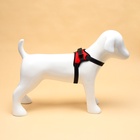 Шлейка К7, размер S, ОГ 44-55 см, вес 5-9 кг, мягкая, светоотражающая, красная - Фото 4