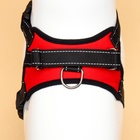 Шлейка К7, размер S, ОГ 44-55 см, вес 5-9 кг, мягкая, светоотражающая, красная - Фото 6