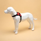 Шлейка К7, размер М, ОГ 52-66 см, вес 9.5-17.5 кг, мягкая, светоотражающая, красная - Фото 2