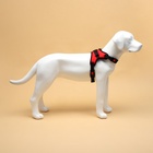 Шлейка К7, размер М, ОГ 52-66 см, вес 9.5-17.5 кг, мягкая, светоотражающая, красная - Фото 4