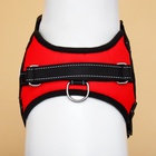 Шлейка К7, размер М, ОГ 52-66 см, вес 9.5-17.5 кг, мягкая, светоотражающая, красная - Фото 6