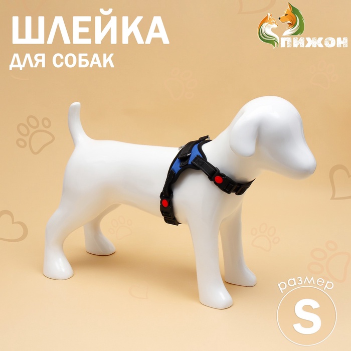 Шлейка К7 мягкая светоотражающая, размер S, ОГ 44-55 см, вес 5-9 кг, синяя - Фото 1