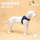 Шлейка К7, размер М, ОГ 52-66 см, вес 9.5-17.5 кг, мягкая, светоотражающая, синяя - Фото 1