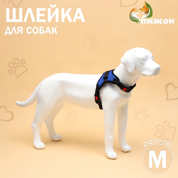 Шлейка К7, размер М, ОГ 52-66 см, вес 9.5-17.5 кг, мягкая, светоотражающая, синяя - Фото 1