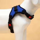 Шлейка К7, размер М, ОГ 52-66 см, вес 9.5-17.5 кг, мягкая, светоотражающая, синяя - Фото 5