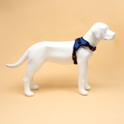 Шлейка К7 мягкая светоотражающая, размер L, ОГ 64-86 см, вес 18- 27.5 кг синяя - Фото 4