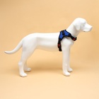 Шлейка К7, размер XL, ОГ 74-92 см, вес 28-47.5 кг, мягкая, светоотражающая, синяя - Фото 4