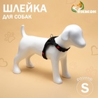 Шлейка К7, размер S, ОГ 44-55 см, вес 5-9 кг, мягкая, светоотражающая, чёрная - Фото 1