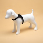 Шлейка К7, размер S, ОГ 44-55 см, вес 5-9 кг, мягкая, светоотражающая, чёрная - Фото 2