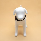 Шлейка К7, размер S, ОГ 44-55 см, вес 5-9 кг, мягкая, светоотражающая, чёрная - Фото 3