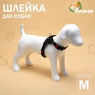 Шлейка К7, размер М, ОГ 52-66 см, вес 9.5-17.5 кг, мягкая, светоотражающая, чёрная - Фото 1