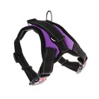 Шлейка К7, размер S, ОГ 44-55 см, вес 5-9 кг, мягкая, светоотражающая, фиолетовая - Фото 1