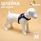 Шлейка К7, размер М, ОГ 52-66 см, вес 9.5-17.5 кг, мягкая, светоотражающая, фиолетовая - Фото 1