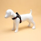 Шлейка К7 мягкая светоотражающая, размер S, ОГ 44-55 см, вес 5-9 кг, леопард - Фото 2