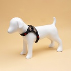 Шлейка К7, размер М, ОГ 52-66 см, вес 9.5-17.5 кг, мягкая, светоотражающая, леопард - Фото 2