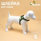 Шлейка улучшенная К7, размер S, ОГ 44-55 см, вес 5-9 кг, мягкая, светоотражающая, зелёная - Фото 1