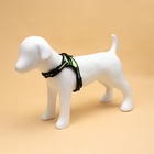 Шлейка улучшенная К7, размер S, ОГ 44-55 см, вес 5-9 кг, мягкая, светоотражающая, зелёная - Фото 2