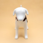 Шлейка улучшенная К7, размер S, ОГ 44-55 см, вес 5-9 кг, мягкая, светоотражающая, оранжевая - Фото 3