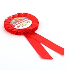 Значок - орден на Выпускной «Выпускник детского сада», d=6.7 см - Фото 4