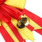 Значок - орден на Выпускной «Выпускник детского сада», d = 9 см - фото 9064444