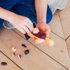 Набор для опытов «Анатомия человека» - Фото 9