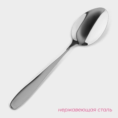 Набор ложек столовых Доляна «Симпли», длина 20.5 см, 6 шт., нержавеющая сталь, серебристый
