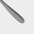 Набор ложек столовых Доляна «Симпли», длина 20.5 см, 6 шт., нержавеющая сталь, серебристый - Фото 3