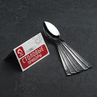 Набор ложек чайных Доляна «Кроян», 13 см, 6 шт 3602640