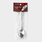 Набор ложек чайных из нержавеющей стали «Ванесса», длина 14 см, 12 шт., серебристый - Фото 4