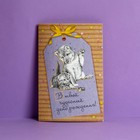Открытка «В твой чудесный День Рождения», пес и кот, частичный УФ-лак, 12 × 18 см - Фото 1