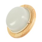 Светильник накладной Ecola, GX53, IP65, 220 В, 220×84 мм, матовый, цвет клен - Фото 1