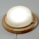 Светильник накладной Ecola, GX53, IP65, 220 В, 220×84 мм, матовый, цвет клен - Фото 2