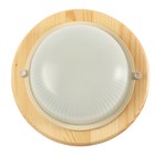 Светильник накладной Ecola, GX53, IP65, 220 В, 220×84 мм, матовый, цвет клен - Фото 4