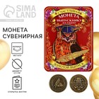 Монета сувенирная на Выпускной «Выпускнику на удачу», металл, d = 2,5 см - фото 11838808